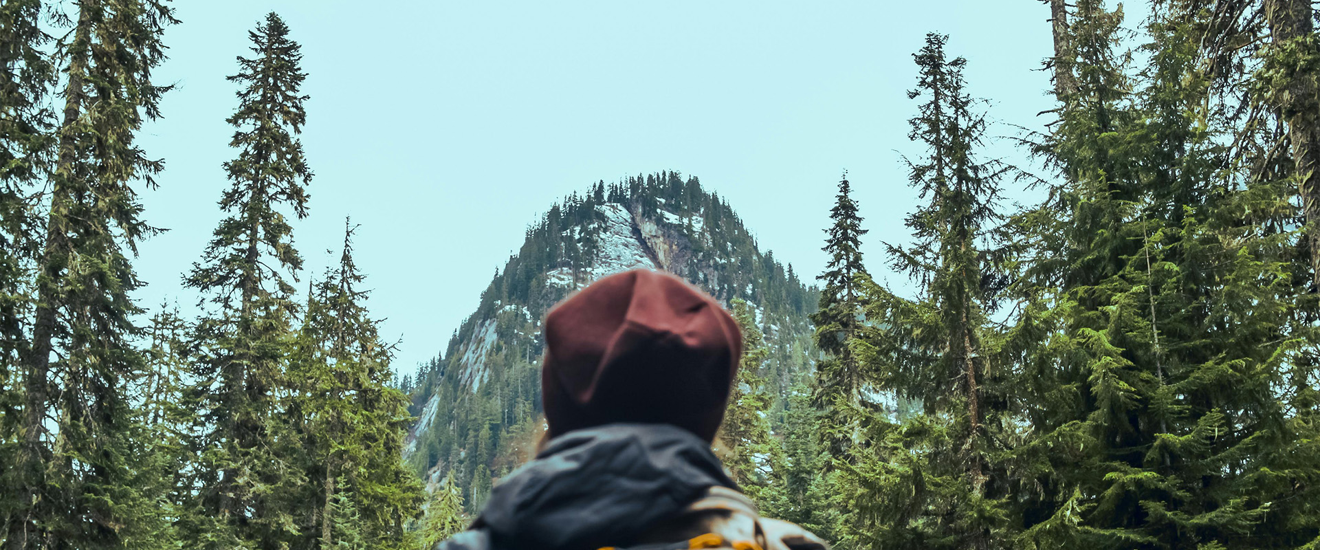 Hiker looks out over a forest in the pacific northwest at a mountain